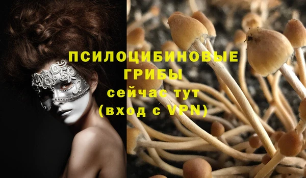 mdpv Алзамай