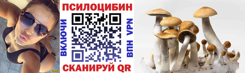 Псилоцибиновые грибы ЛСД  Лахденпохья 